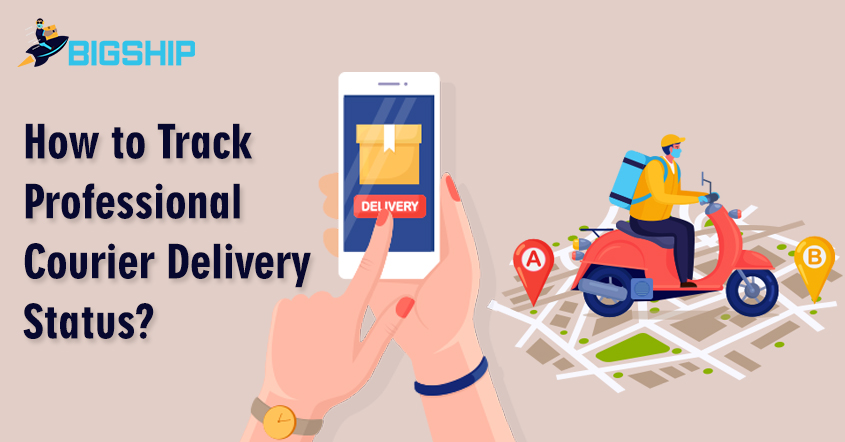 How To Track Professional Courier Delivery Status! - Bigship