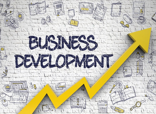 Business Development Executive<